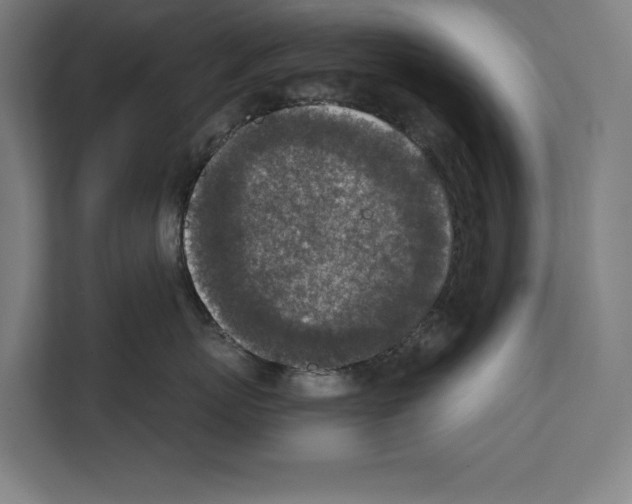 X0000111140767200908111114