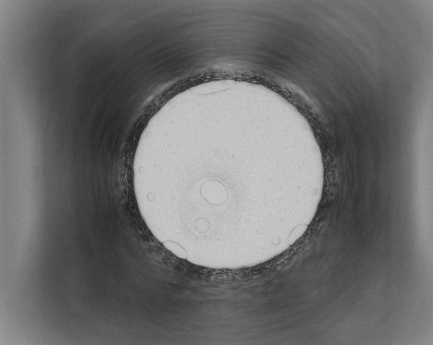 X0000111140776200908111113