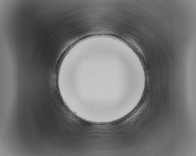 X0000111140781200908111113