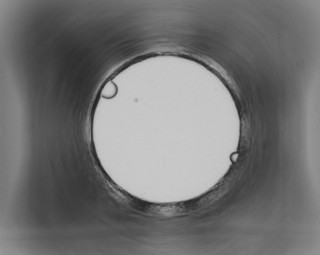 X0000111140791200908111113