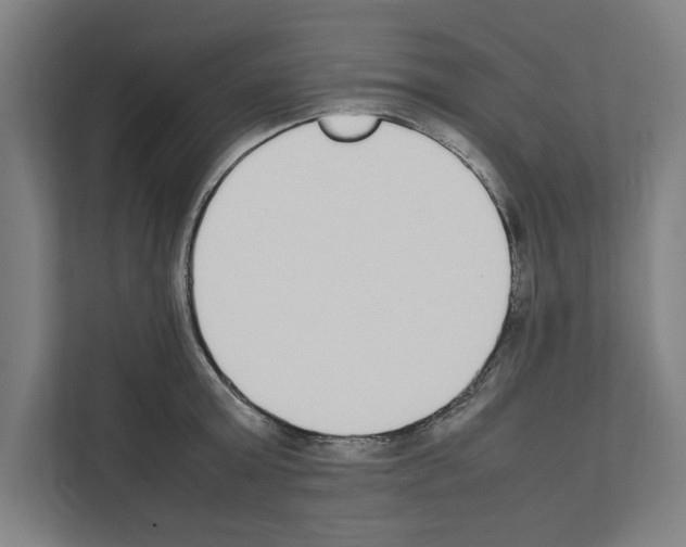 X0000111140803200908111113