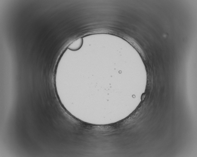 X0000111140805200908111113