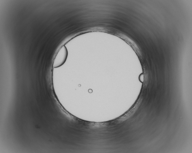 X0000111140808200908111113