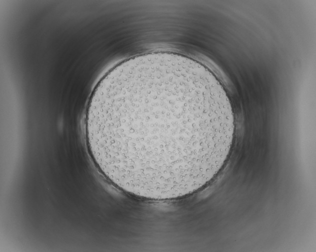 X0000111140814200908111112