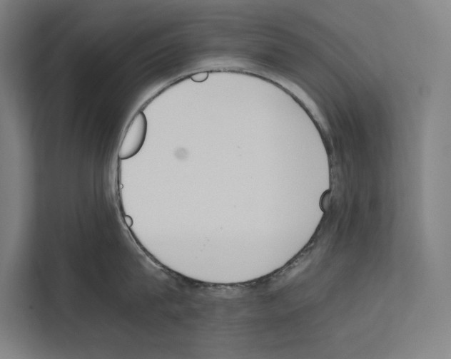 X0000111140815200908111112