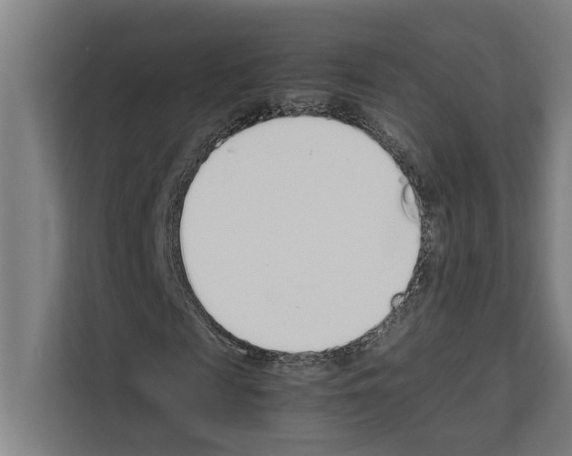 X0000111140817200908111112