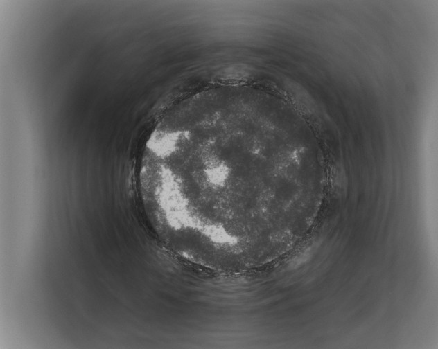 X0000111140818200908111112