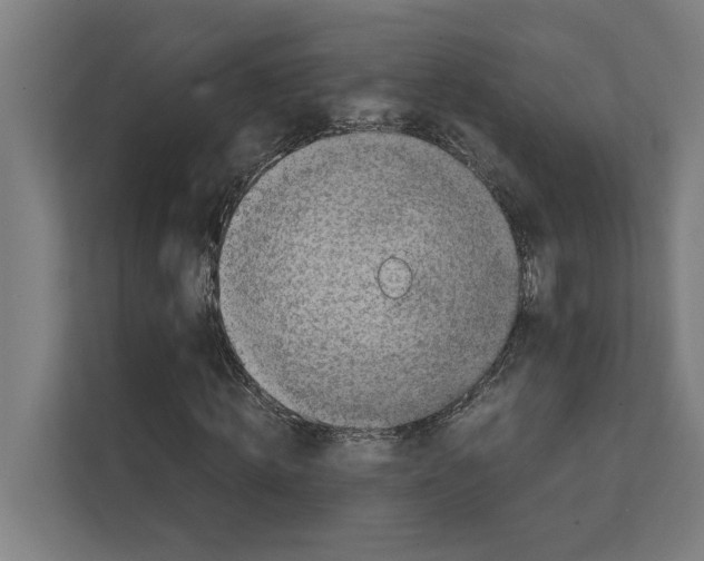 X0000111140820200908111112