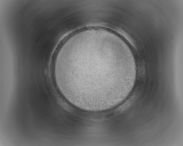 X0000111140832200908111112