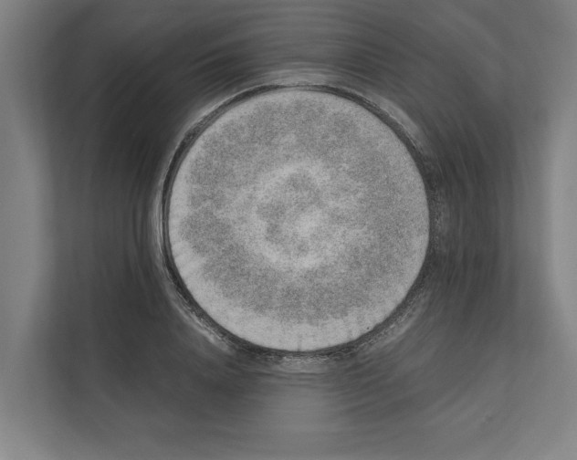 X0000111140840200908111112