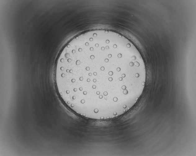 X0000111140847200908111112