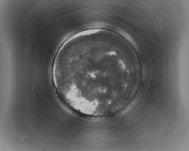 X0000111140850200908111112