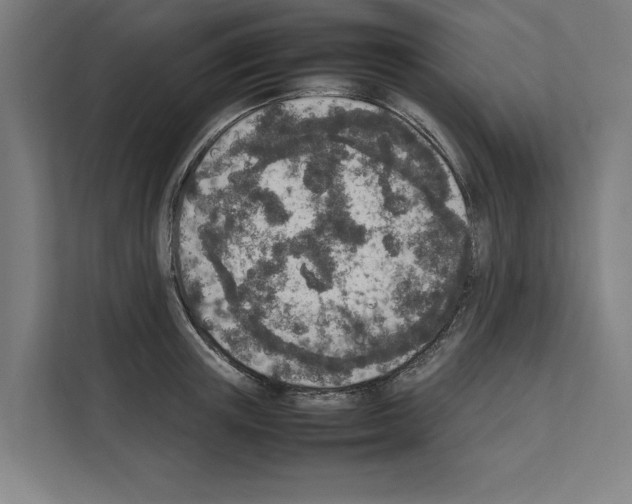 X0000111140851200908111112