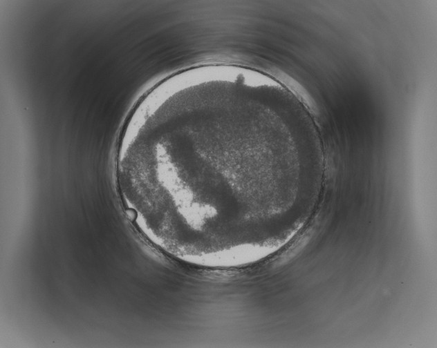 X0000111140854200908111112