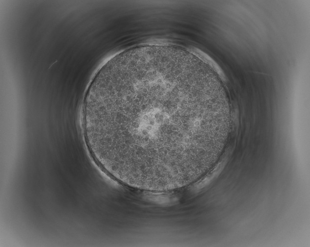 X0000111140855200908111112