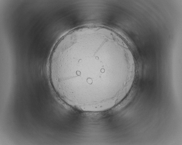 X0000111140856200908111112