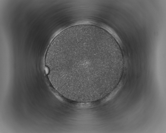 X0000111140858200908111112