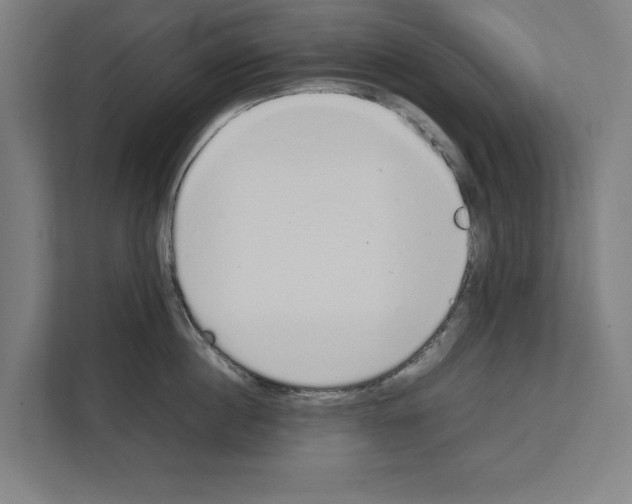 X0000111140860200908111112