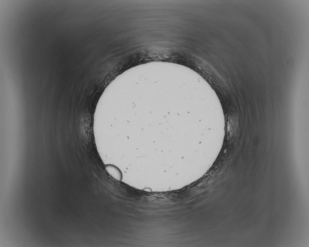 X0000111140867200908111112