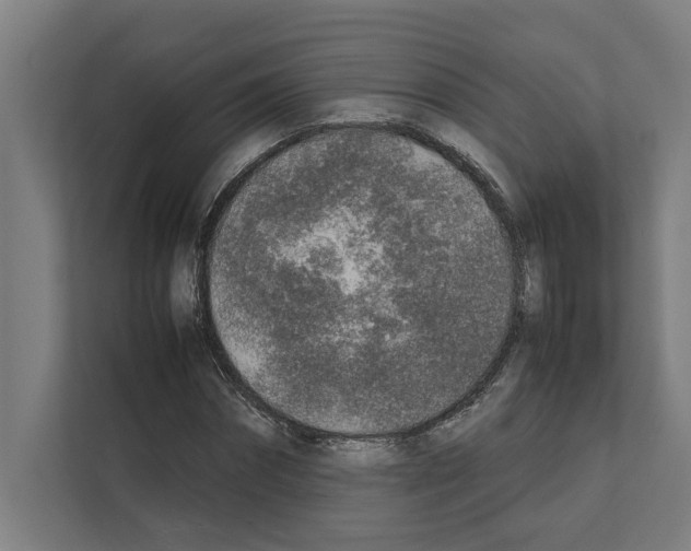 X0000111140874200908111112