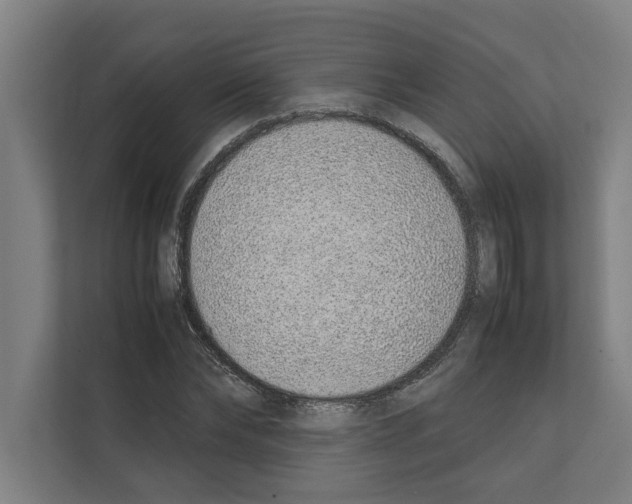 X0000111140878200908111112