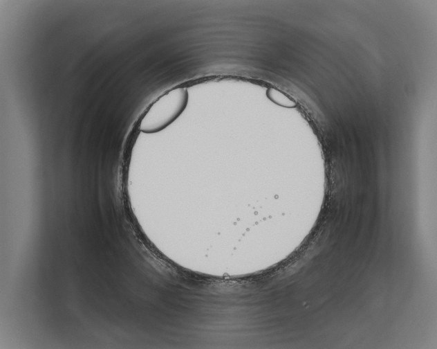 X0000111140880200908111112