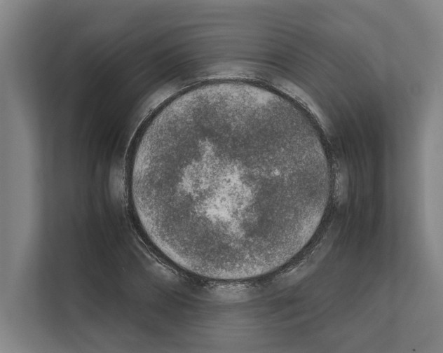 X0000111140882200908111112