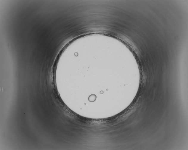 X0000111140883200908111112