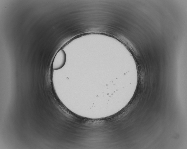 X0000111140884200908111112