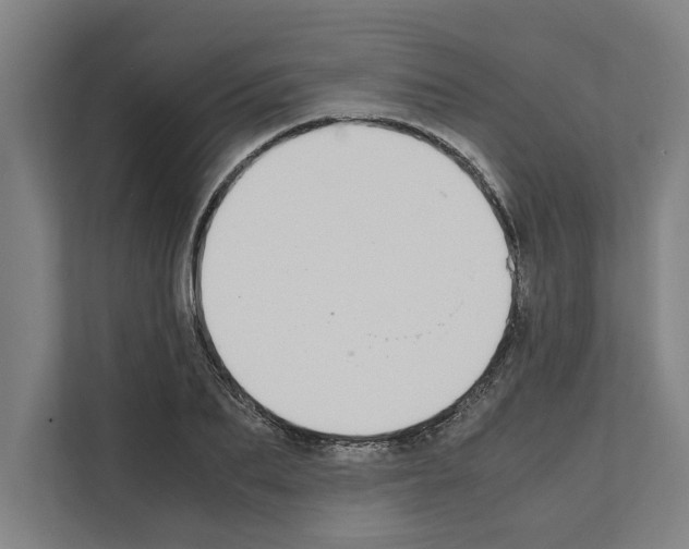 X0000111140887200908111111