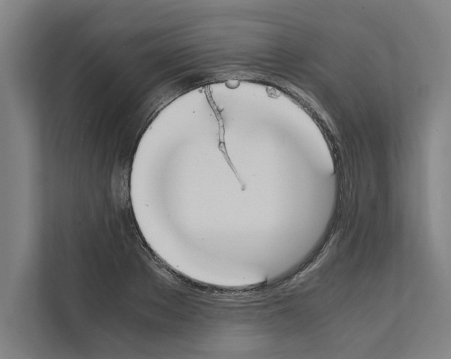 X0000111140889200908111111