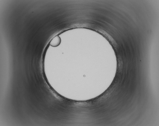 X0000111140894200908111111