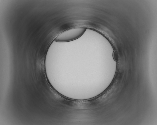 X0000111140897200908111111