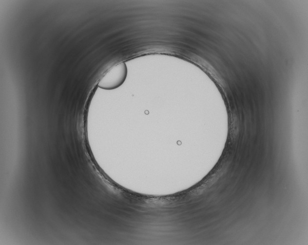 X0000111140898200908111111