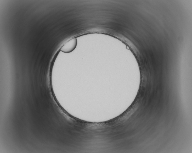 X0000111140902200908111111