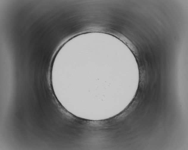 X0000111140904200908111111