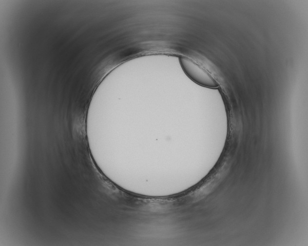 X0000111140905200908111111