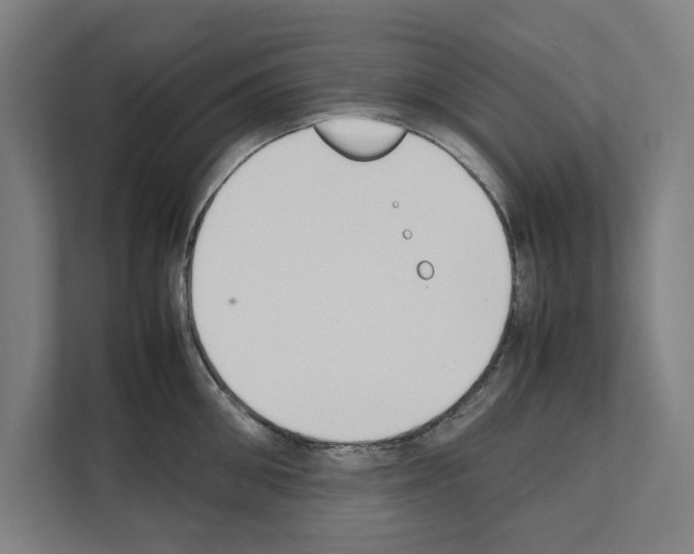 X0000111140906200908111111