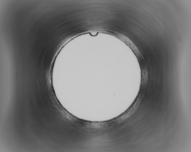 X0000111140908200908111111