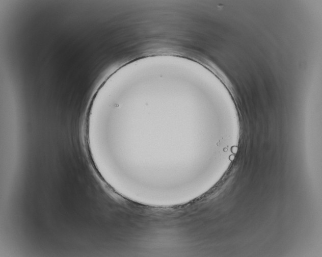 X0000111140909200908111111