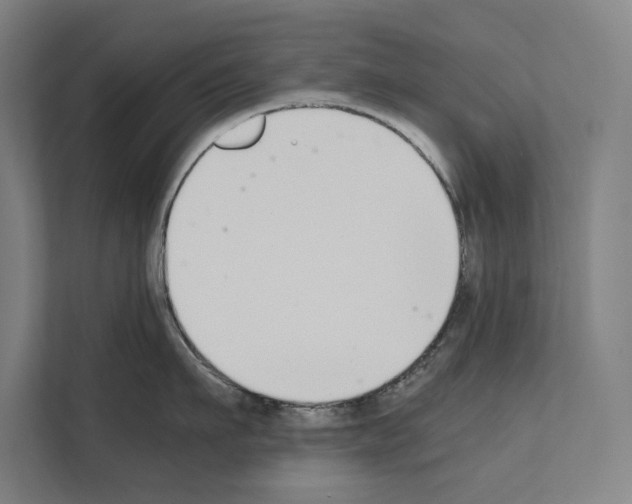 X0000111140911200908111111