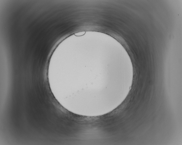 X0000111140912200908111111