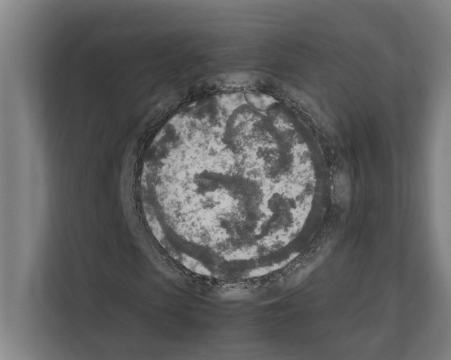 X0000111140913200908111111