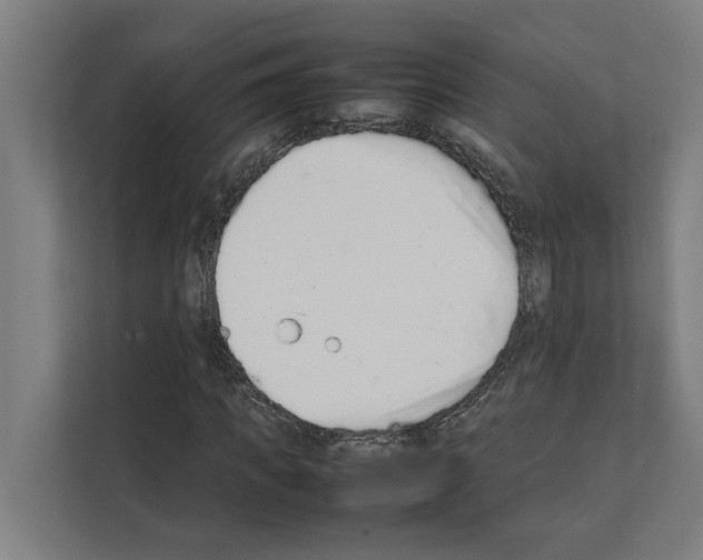 X0000111140917200908111111