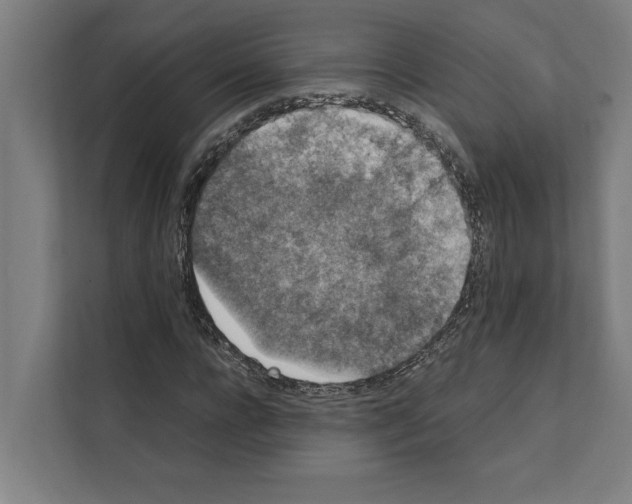 X0000111140920200908111111