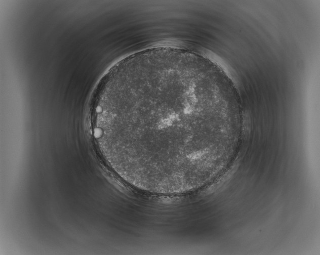 X0000111140923200908111111