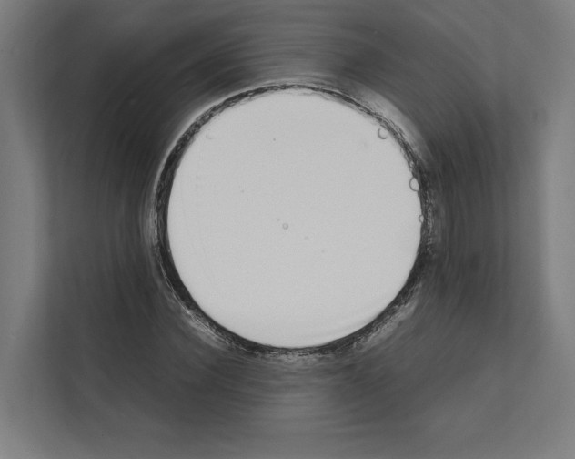 X0000111140924200908111111