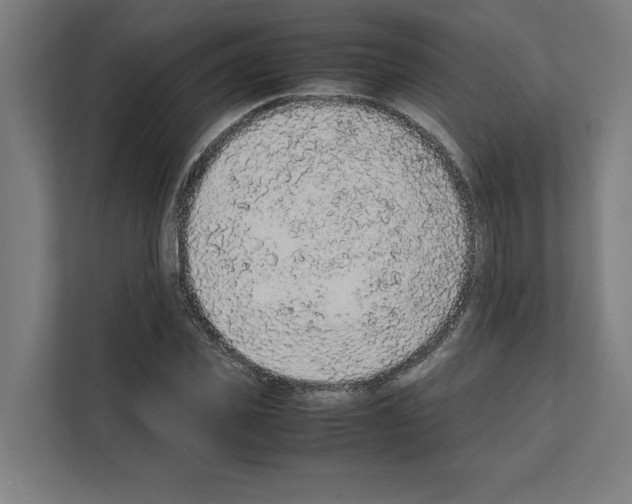 X0000111140925200908111111