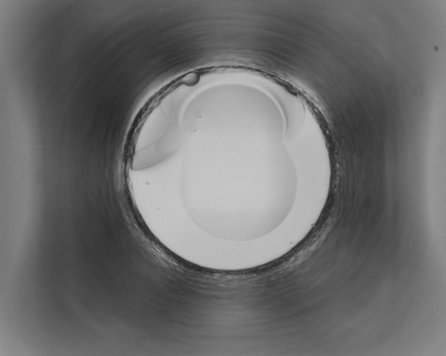 X0000111140928200908111111