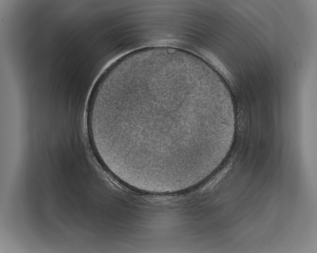 X0000111140932200908111111